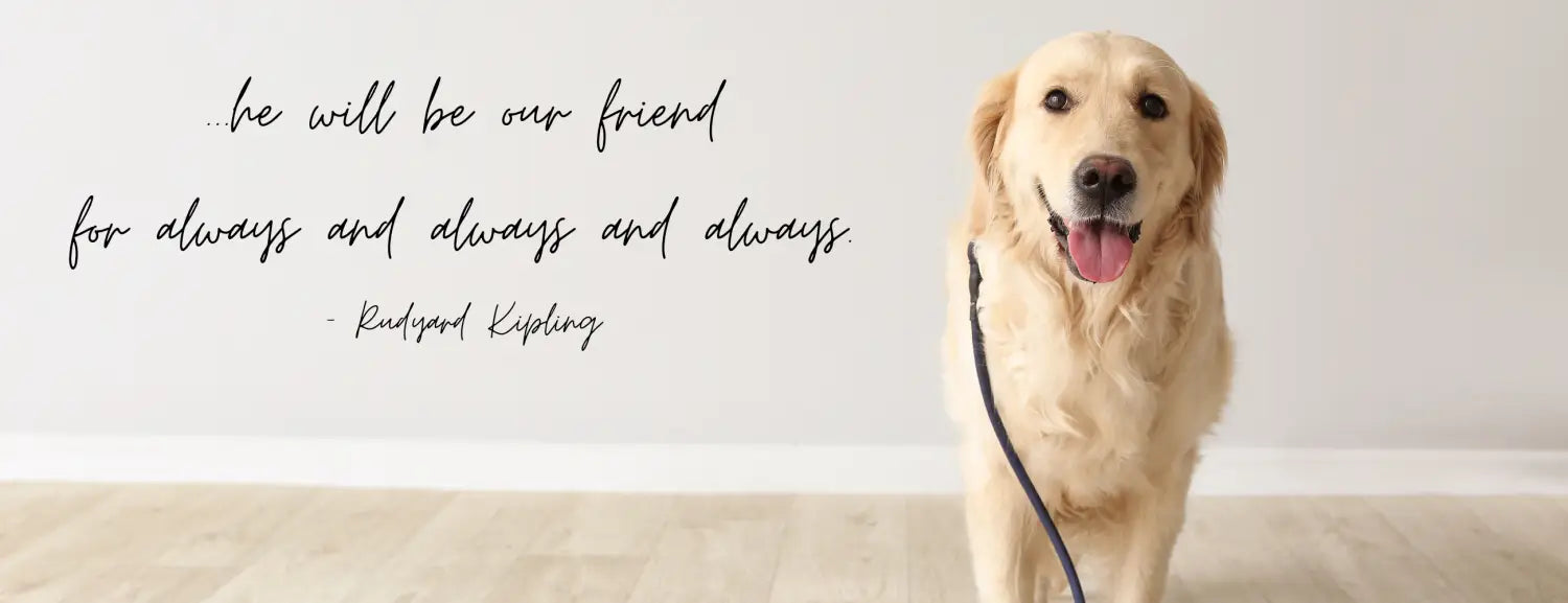 Pet inspired vinyl wall decals to help you organize, celebrate and remember your fuzzy companions.