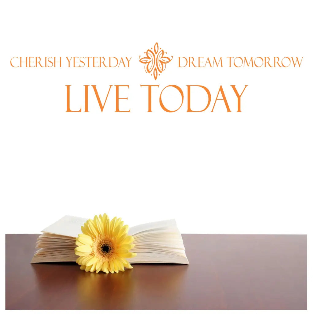 Cherish Dream Live