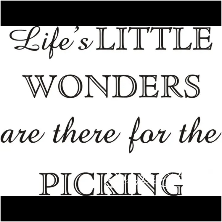 Lifes Little Wonders