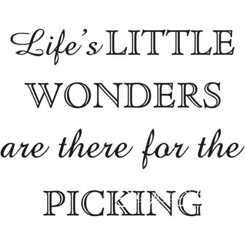 Lifes Little Wonders