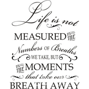 Moments That Take Our Breath Away Wall Quote