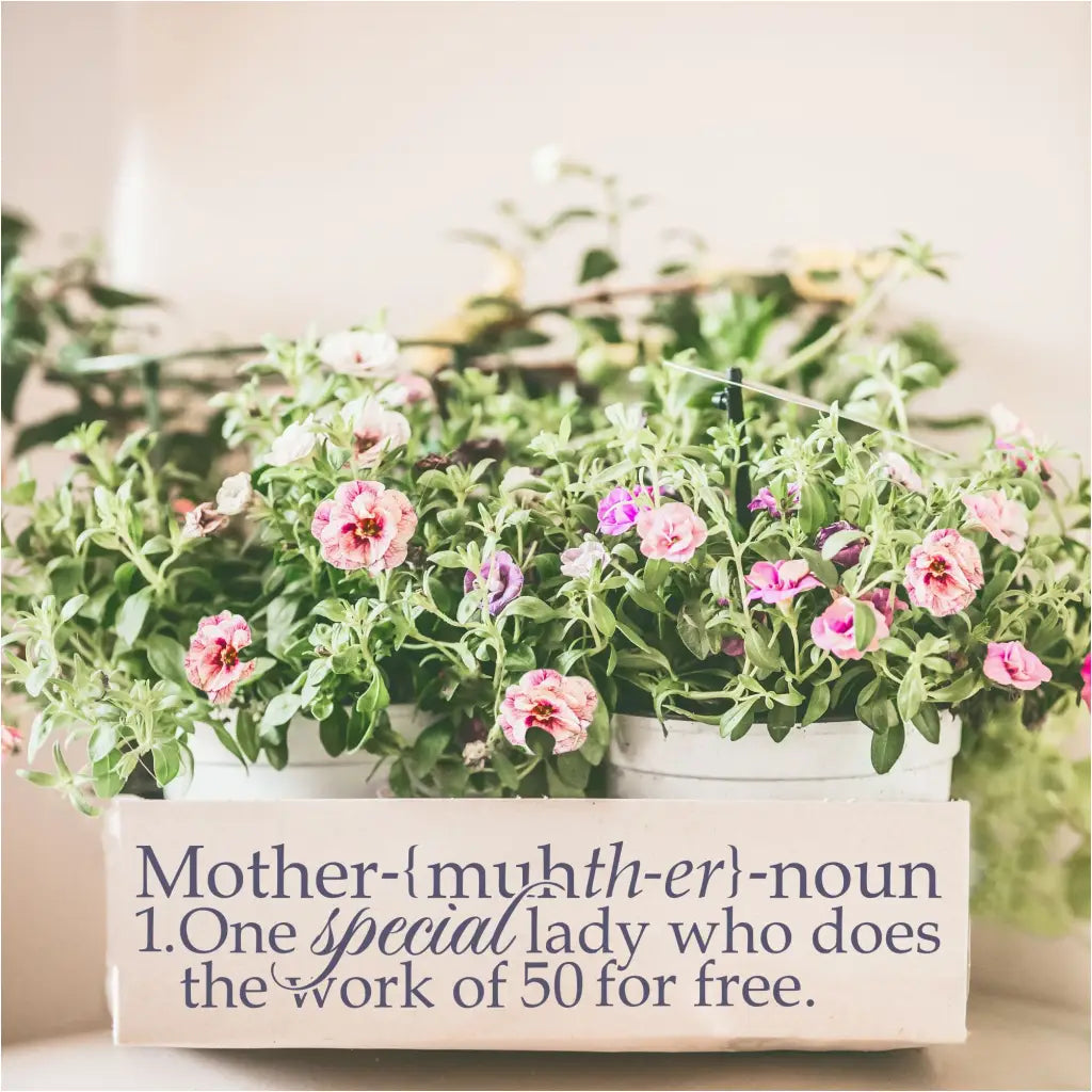 Mother definition decal by The Simple Stencil applied to a box carrying flowers to plant with my mother this Mother's Day!