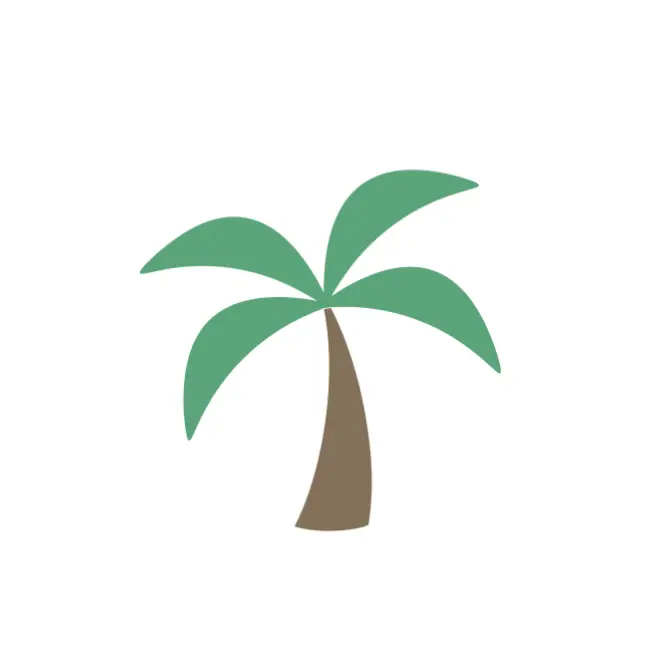 Palm Tree