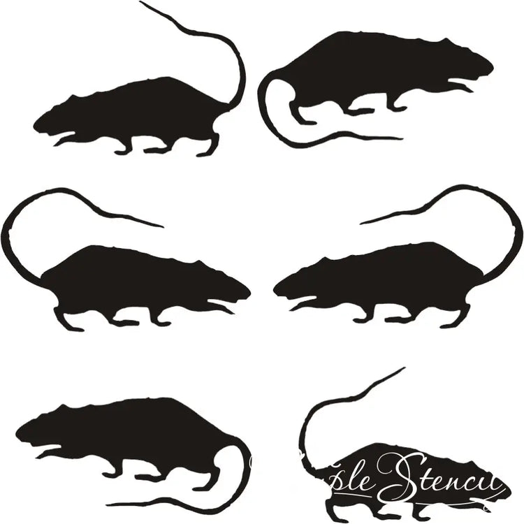 Rats!