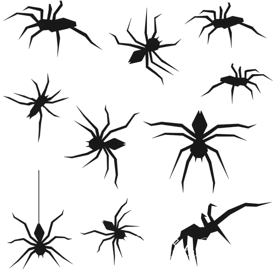 Spiders!