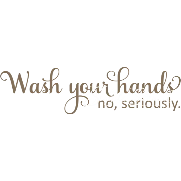 Wash Your Hands. No Seriously. | Wall Mirror Door Or Window Decal Sticker.