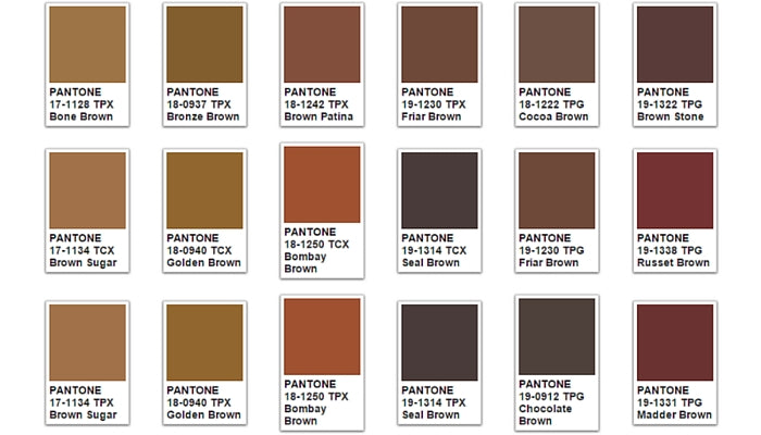 Cozy room decor accents featuring warm brown tones with a color psychology diagram highlighting the grounded and comforting symbolism of brown shades.