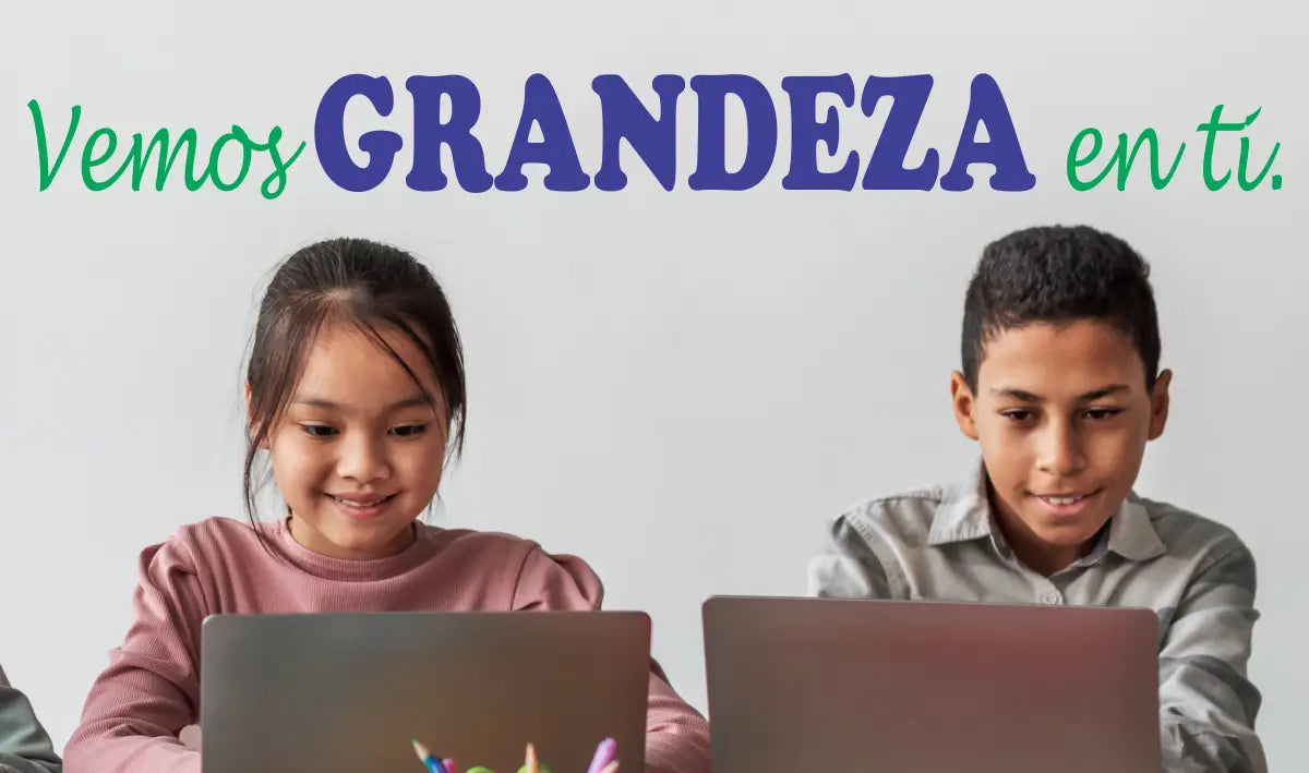 Brightly colored vinyl wall decal in a school setting written in Spanish for bilingual students that reads: Vemos Grandeza en ti. which translates to "We see greatness in you".