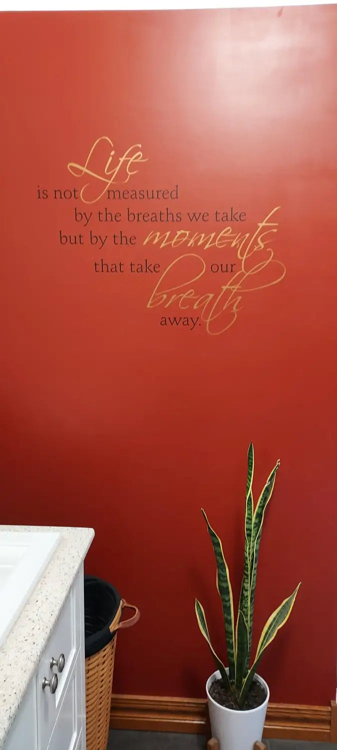 Wall of Fame Winner - May