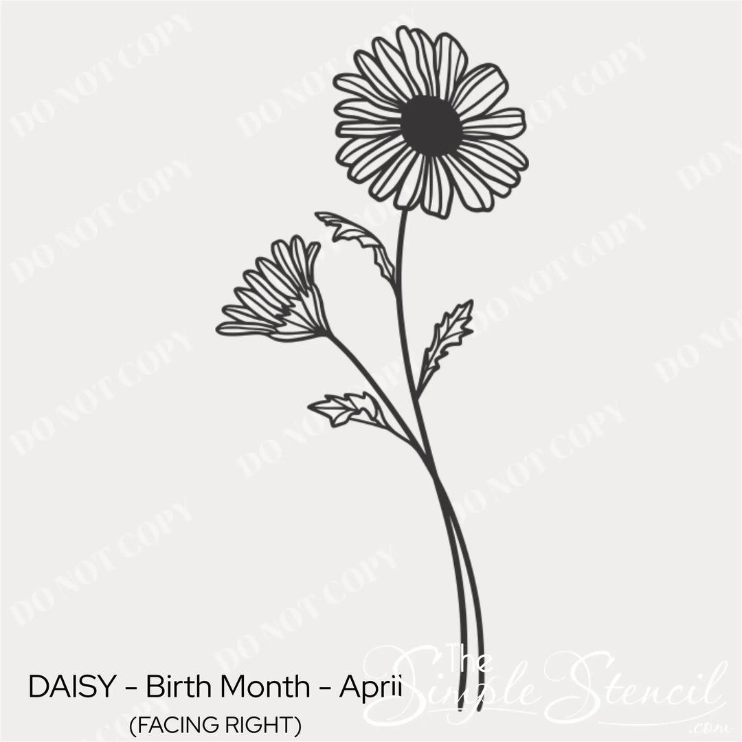 Close up detail of a minimalist Daisy wall lettering design showing the delicate line art and matte finish.
