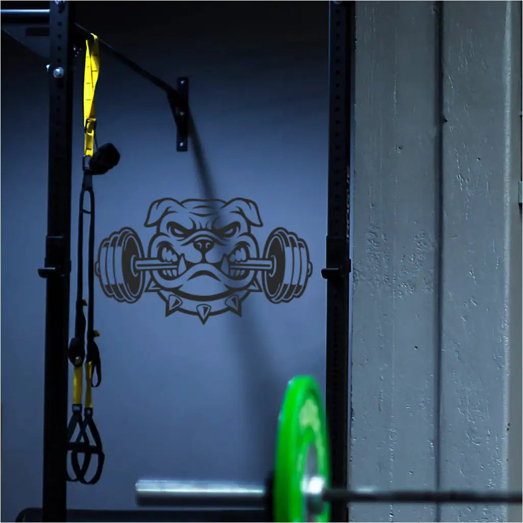 Bulldog Weightlifting Decal displayed in a school weight room with a bulldog mascot.