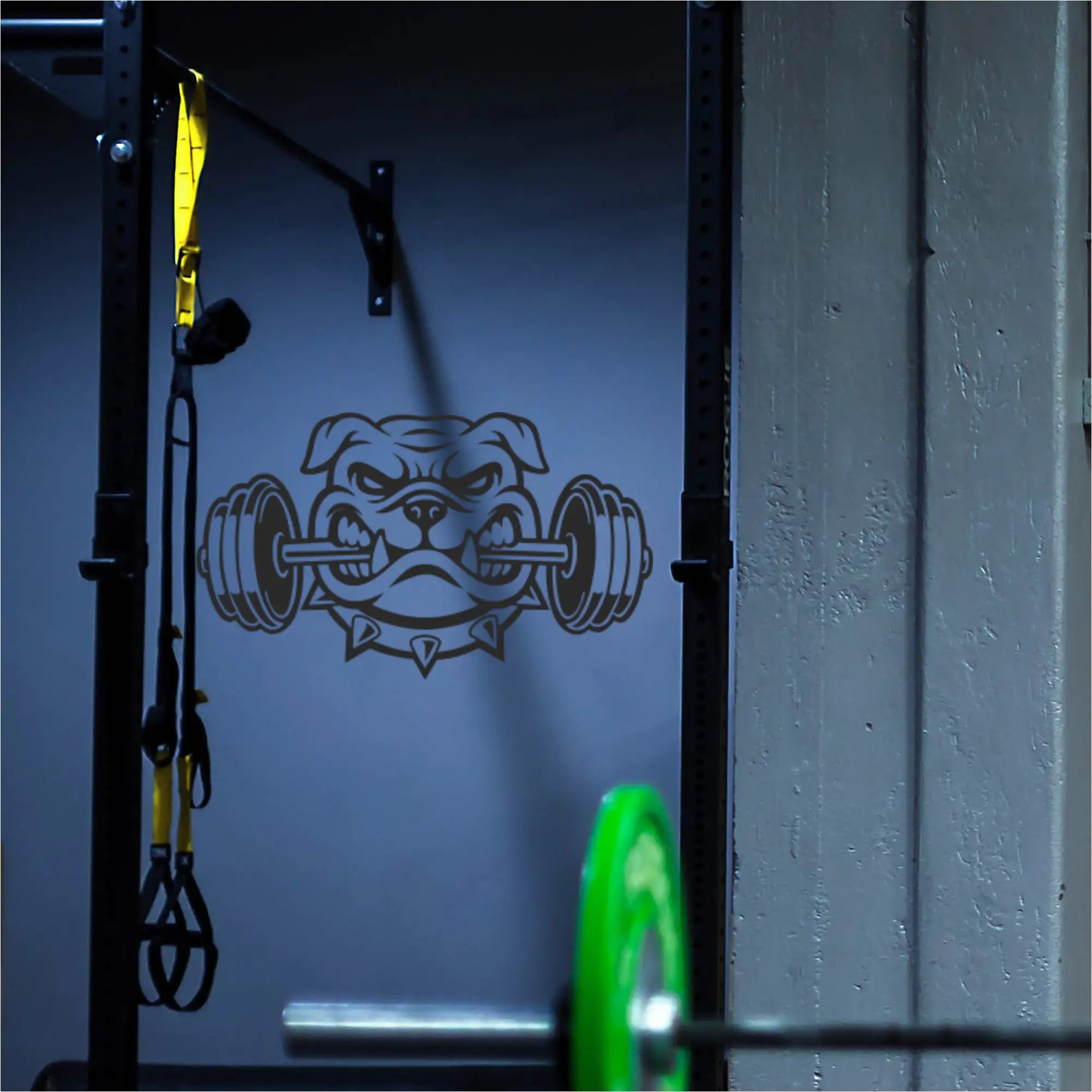 Bulldog Weightlifting Decal displayed in a school weight room with a bulldog mascot.