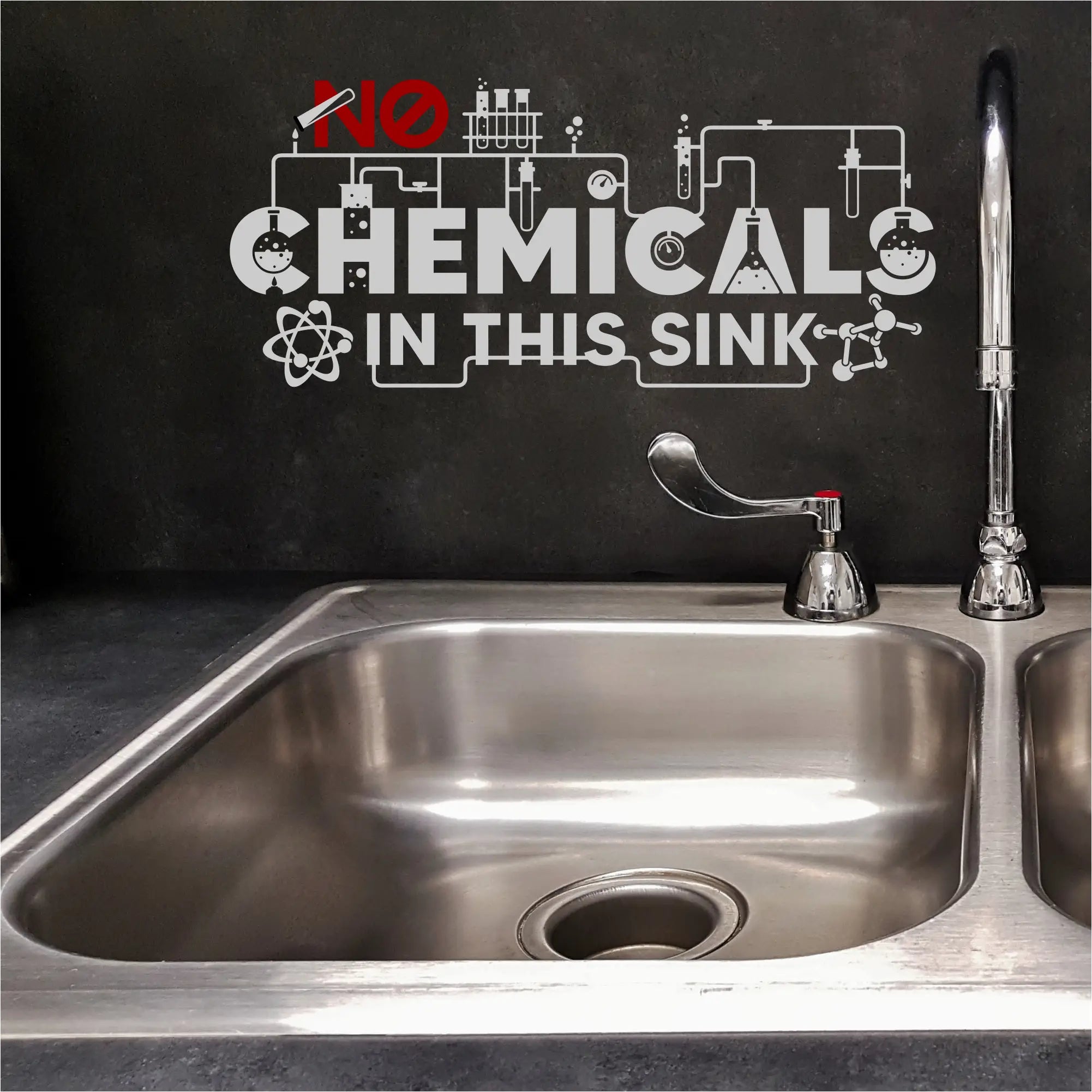 Stainless steel double-basin sink with chrome faucet featuring no chemicals in sink decal for sink science classroom use