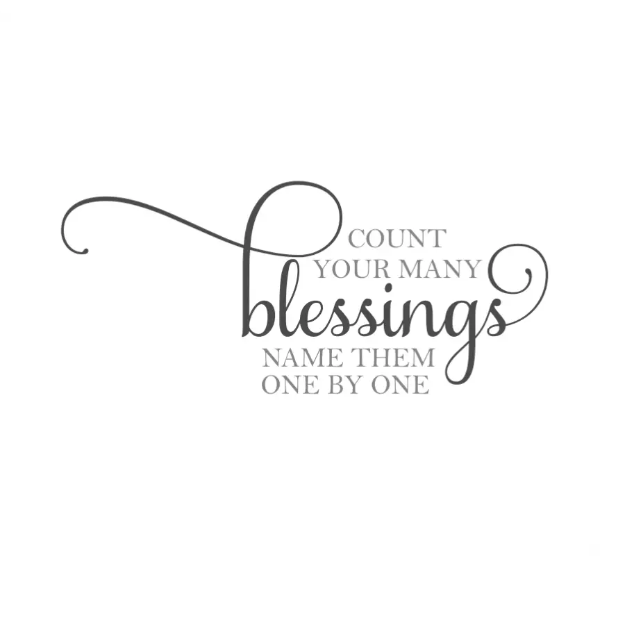 Embrace a spirit of gratitude and transform your space with our inspiring "Count your blessings, name them one by one" vinyl wall decal.