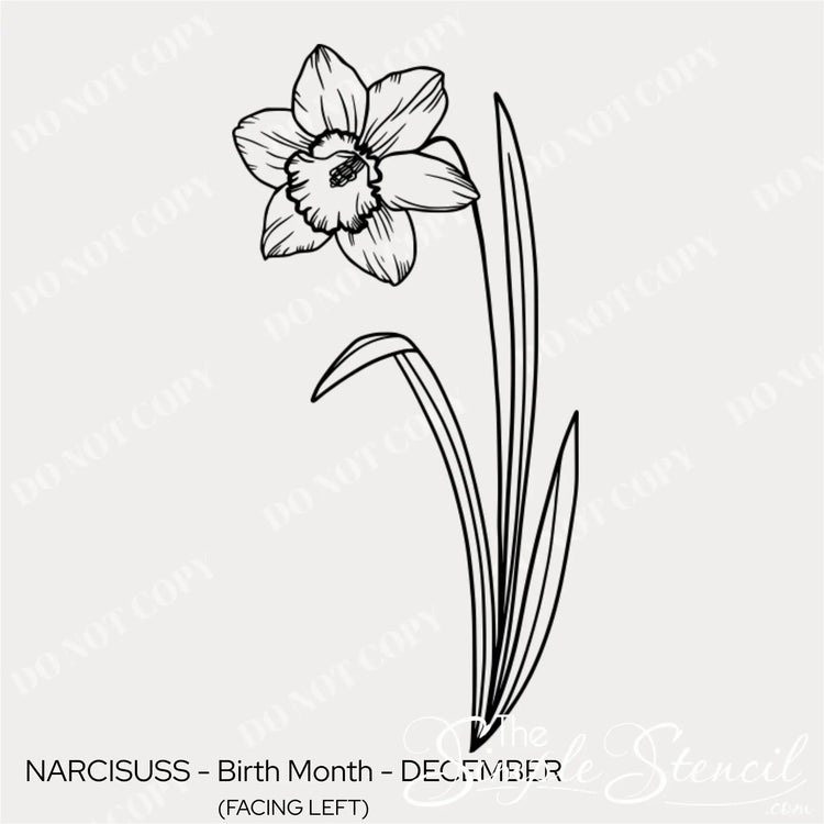 Close up detail of the December Narcissus line art showing the intricate trumpet and star-shaped petal details.