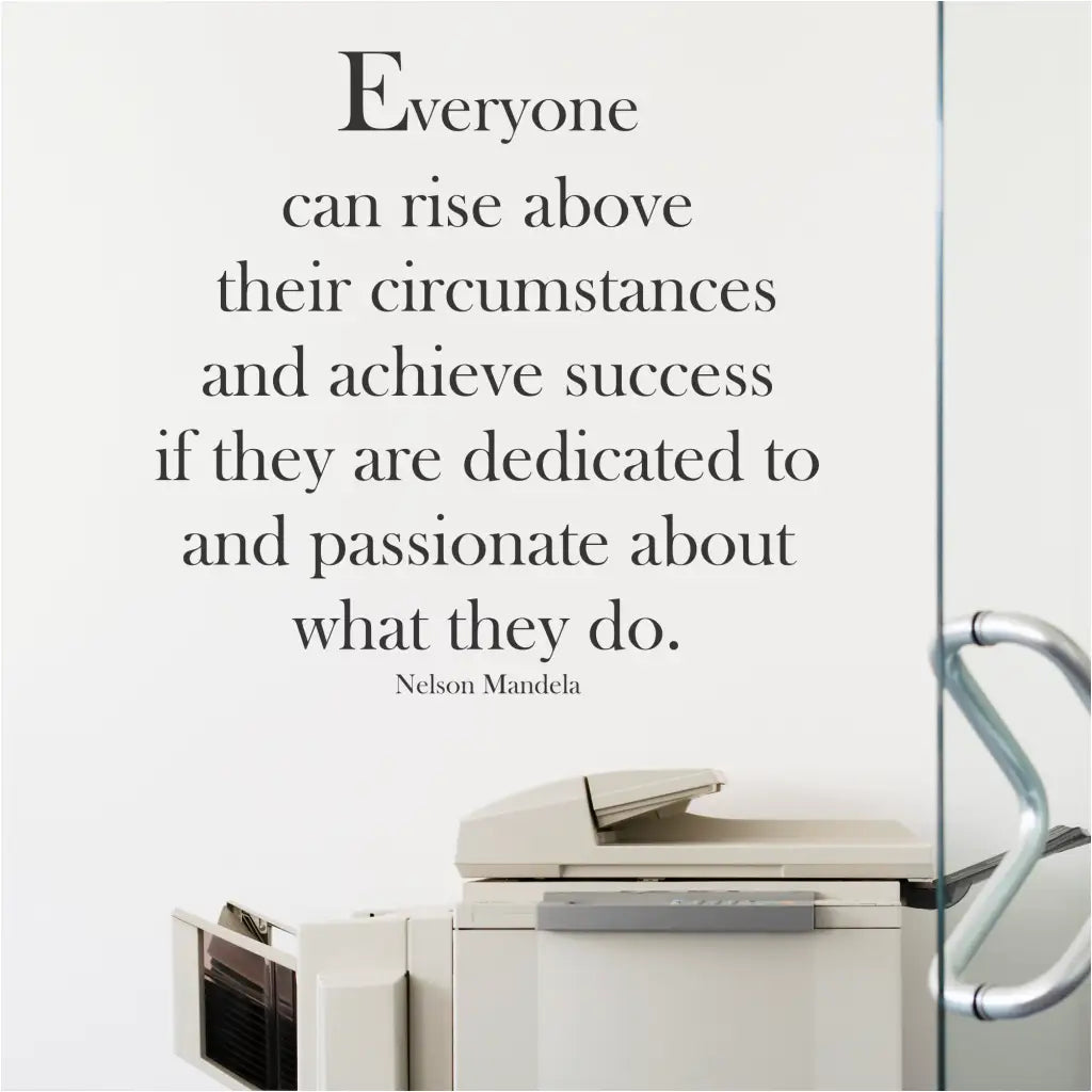 Everyone Can Rise Mandela Wall Quote