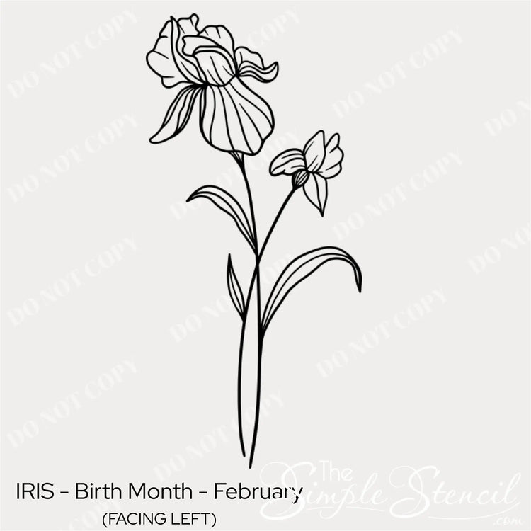 Close up detail of the February Iris botanical art showing the clean line work and matte black finish.