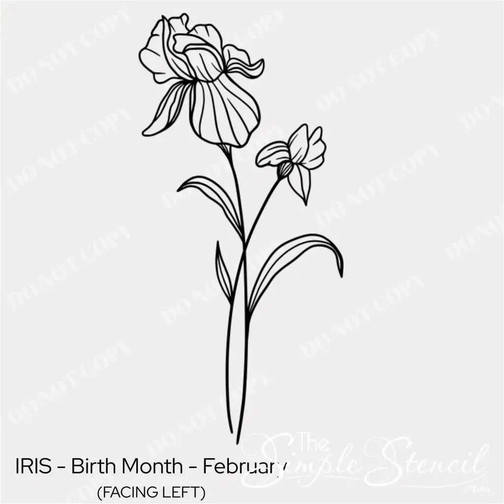 Close up detail of the February Iris botanical art showing the clean line work and matte black finish.