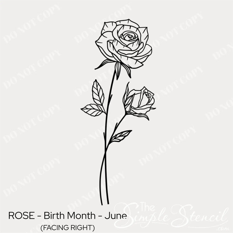 Close up of the June Rose wall lettering showing the clean line art and matte finish designed to look painted on.