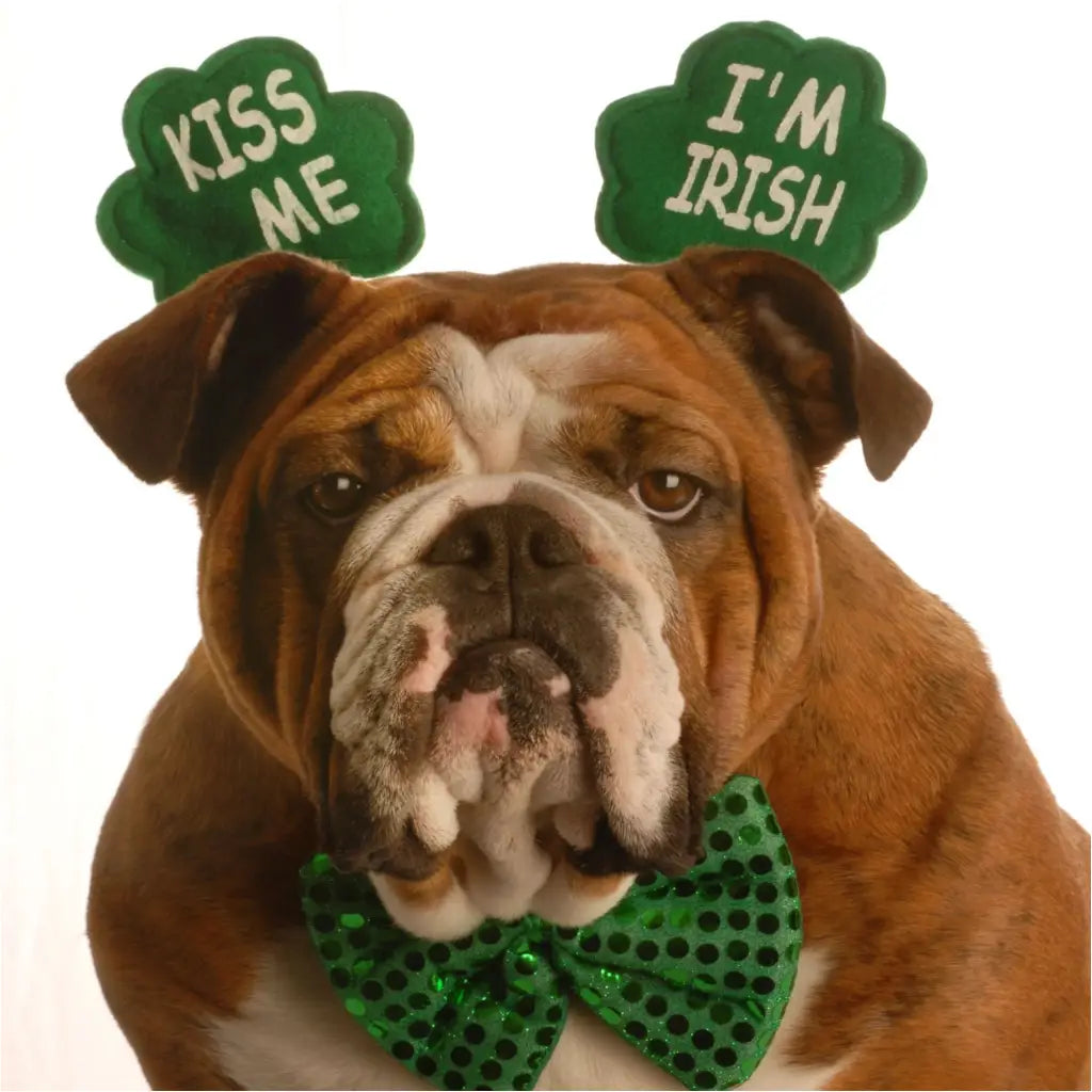 Kiss Me Im Irish