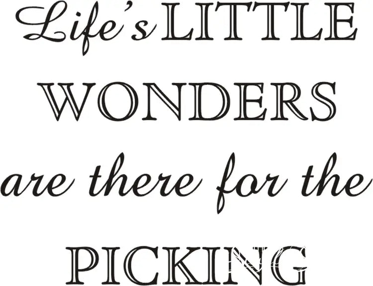 Lifes Little Wonders
