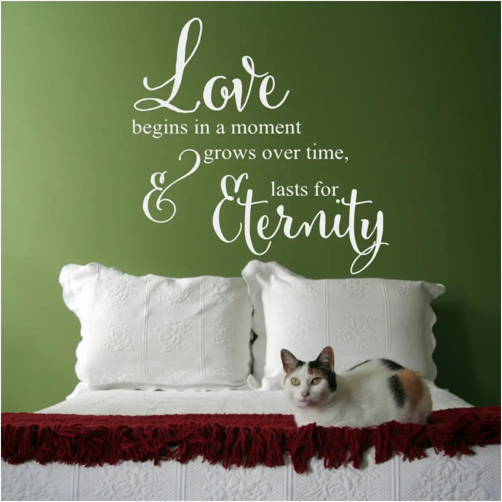 A beautiful vinyl wall decal that reads: Love begins in a moment, grows over time and lasts for eternity. Perfect master bedroom suite decor.