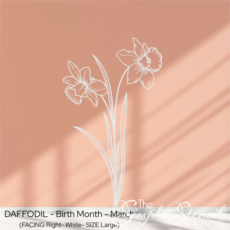 White Daffodil birth flower graphic applied to a warm terracotta church wall, highlighted by natural light and shadows.