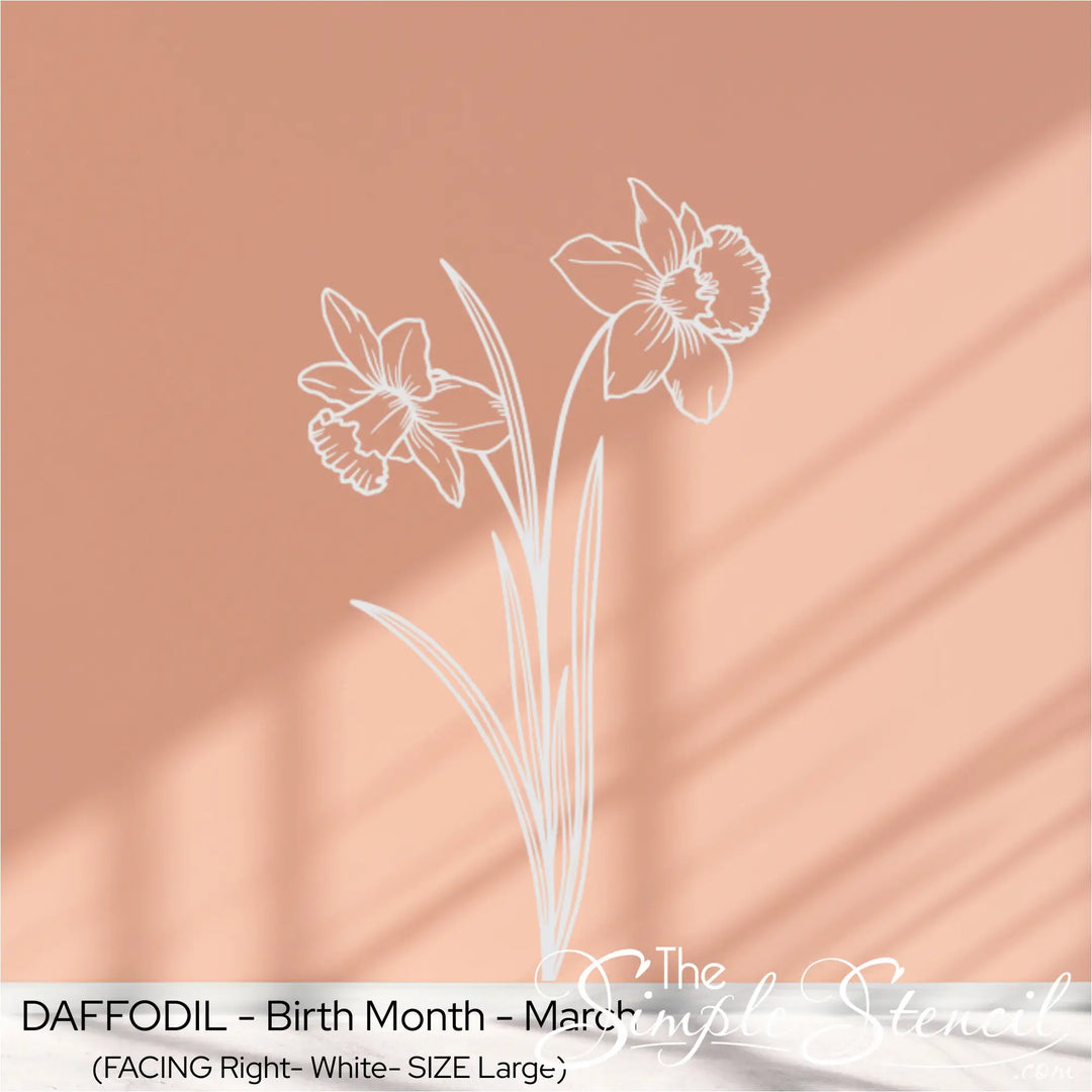 White Daffodil birth flower graphic applied to a warm terracotta church wall, highlighted by natural light and shadows.