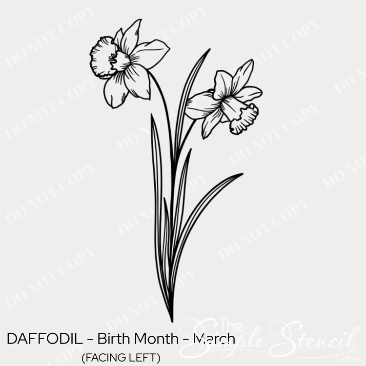 Close up of the March Daffodil birth flower wall graphic showing the delicate black line art and matte finish.