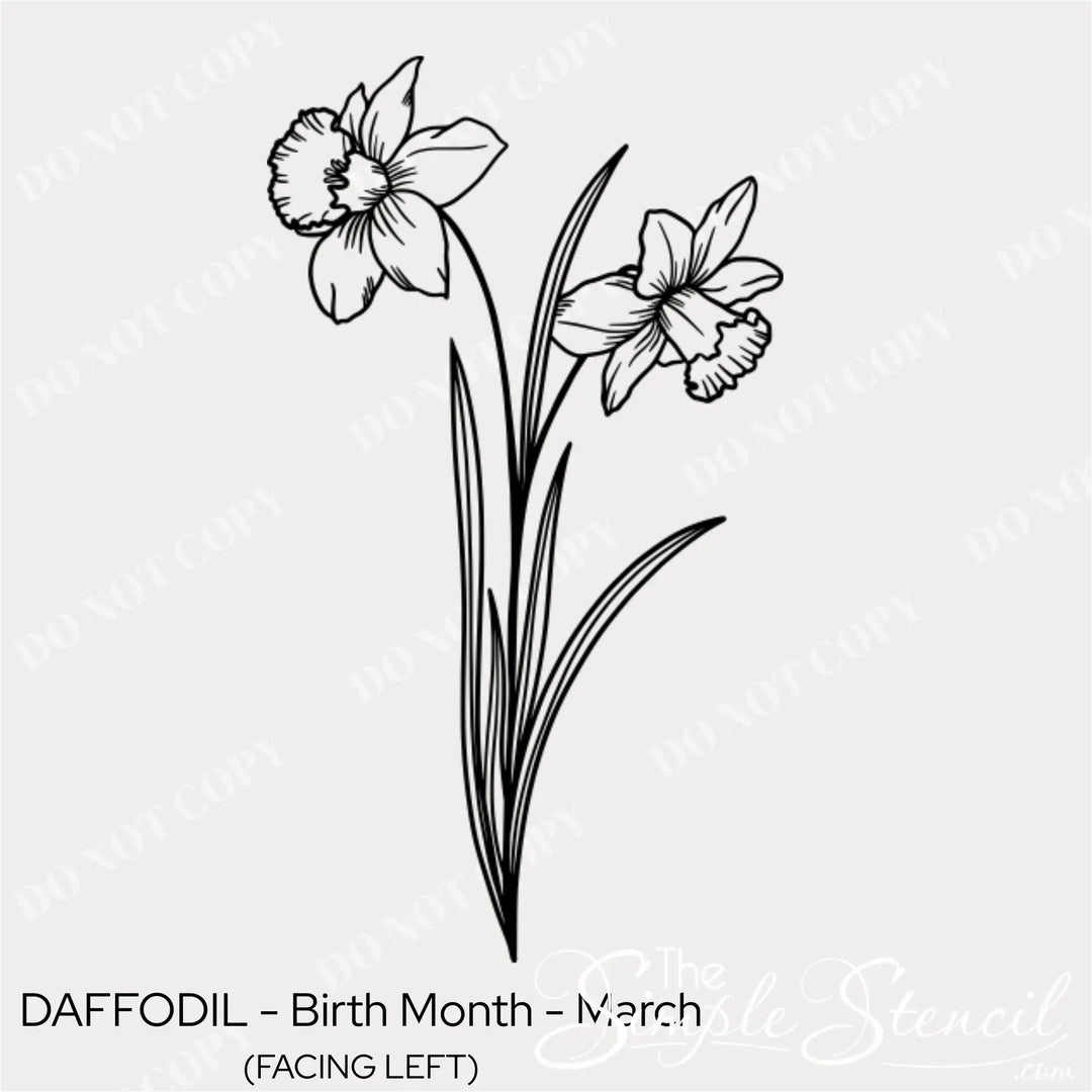 Close up of the March Daffodil birth flower wall graphic showing the delicate black line art and matte finish.