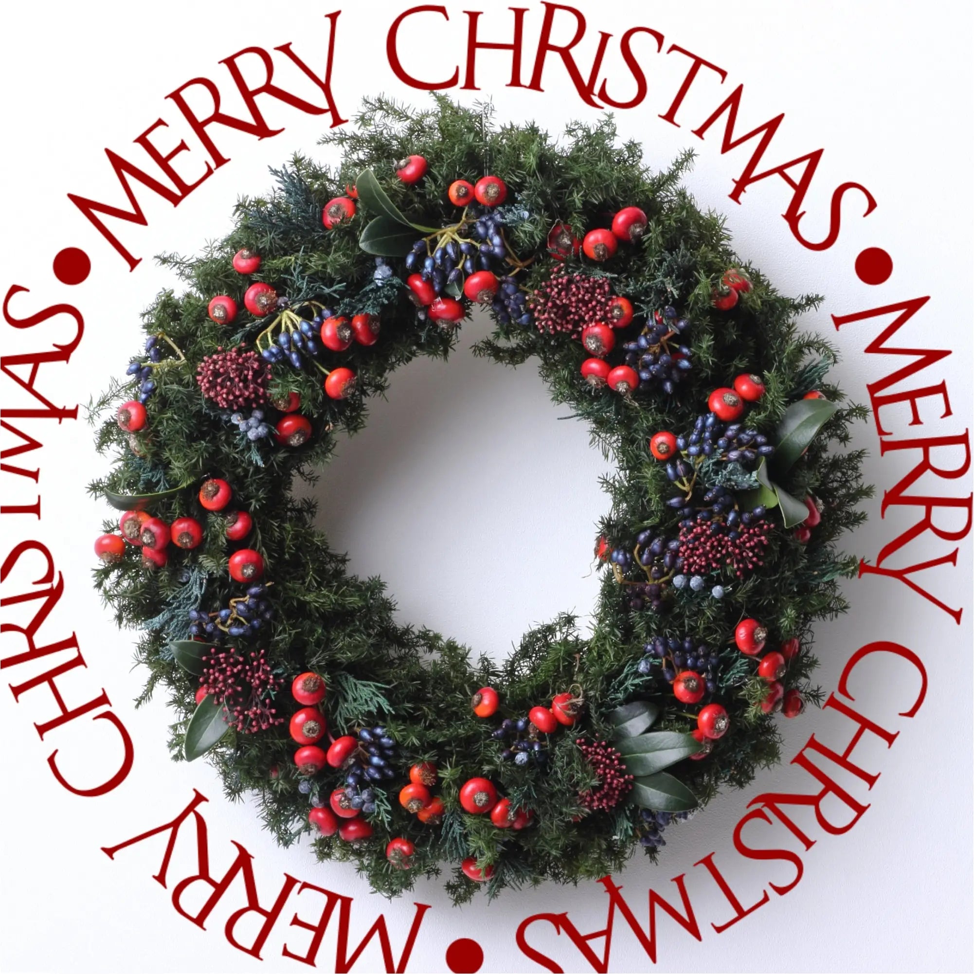 Merry Christmas Circle