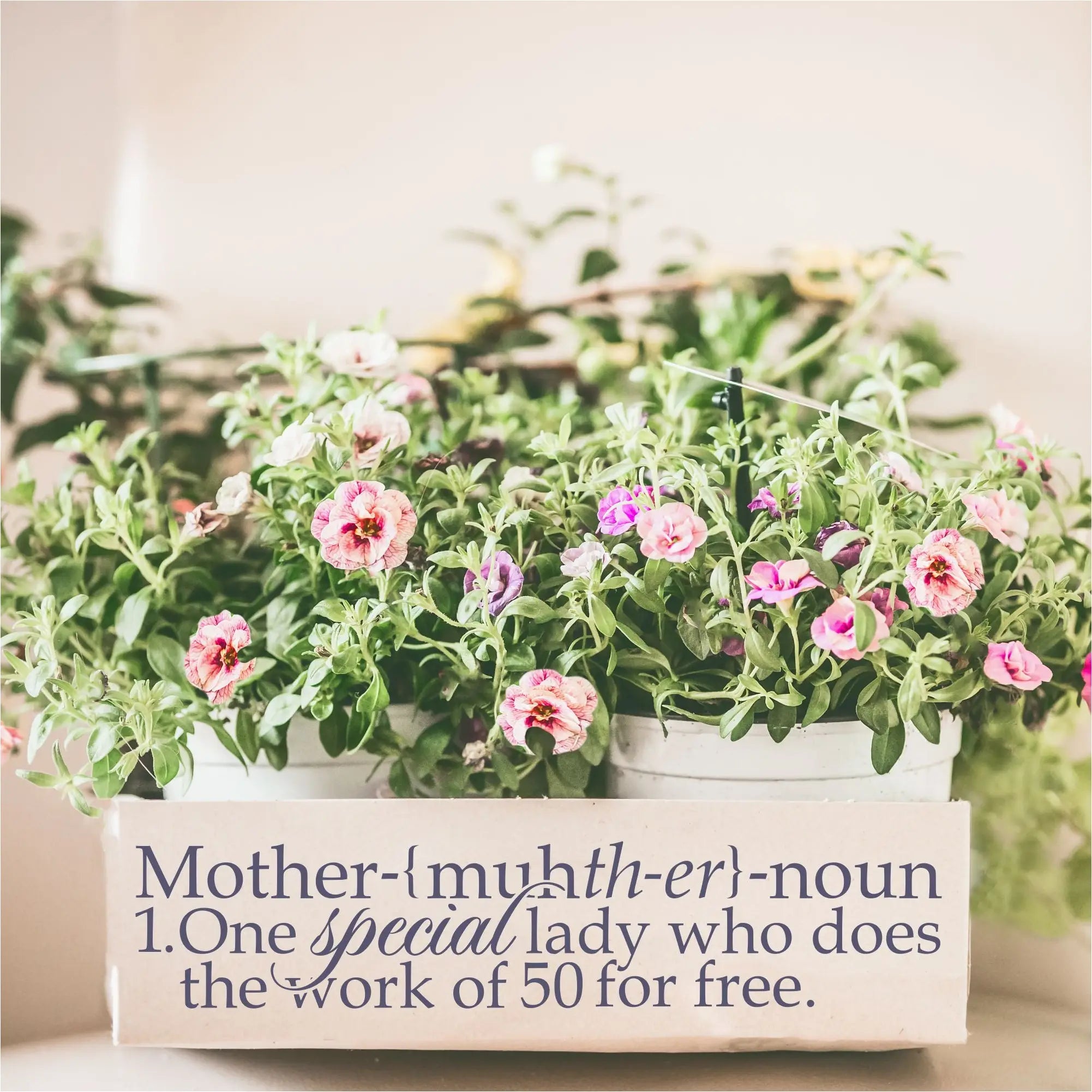 Mother definition decal by The Simple Stencil applied to a box carrying flowers to plant with my mother this Mother's Day!