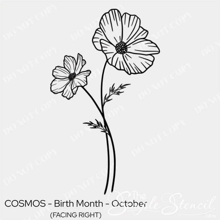 Close up detail of the October Cosmos wall graphic showing the delicate petal lines and matte black finish.