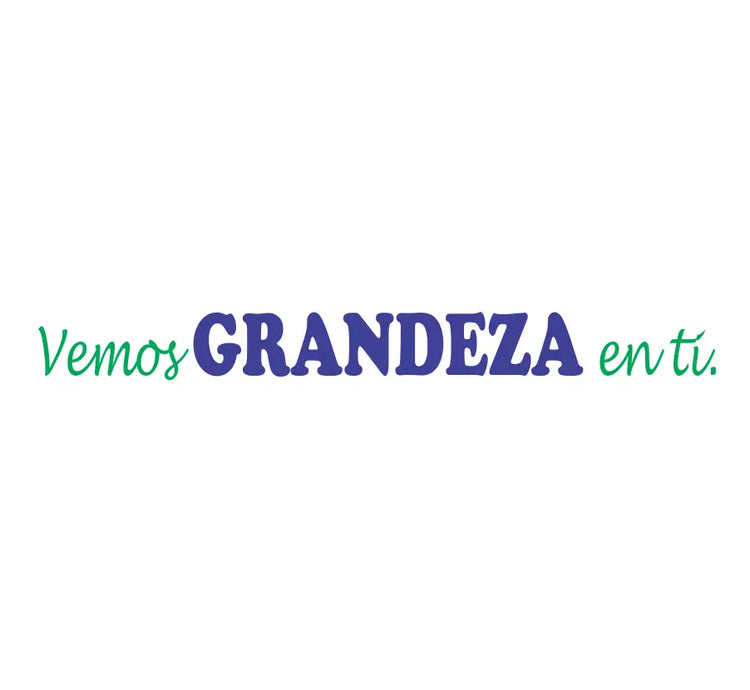 We see greatness in you spanish wall decal features multicolored vemos grandeza lettering for school wall decoration