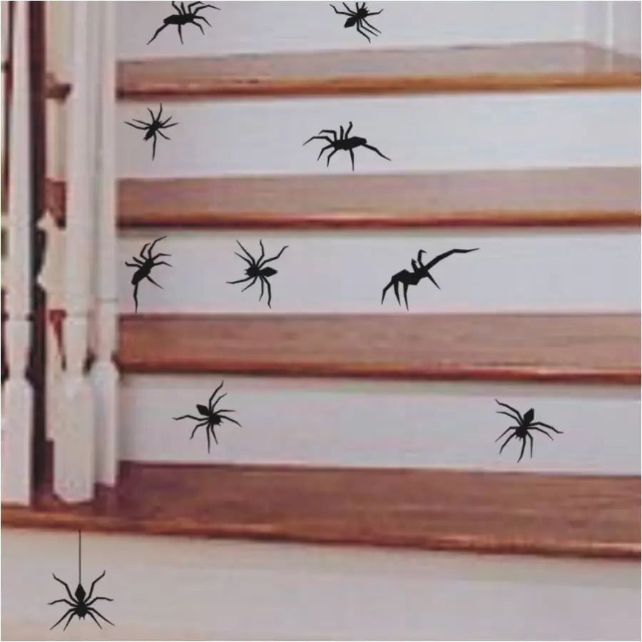 Spiders!