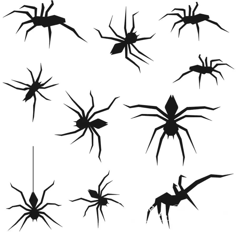 Spiders!