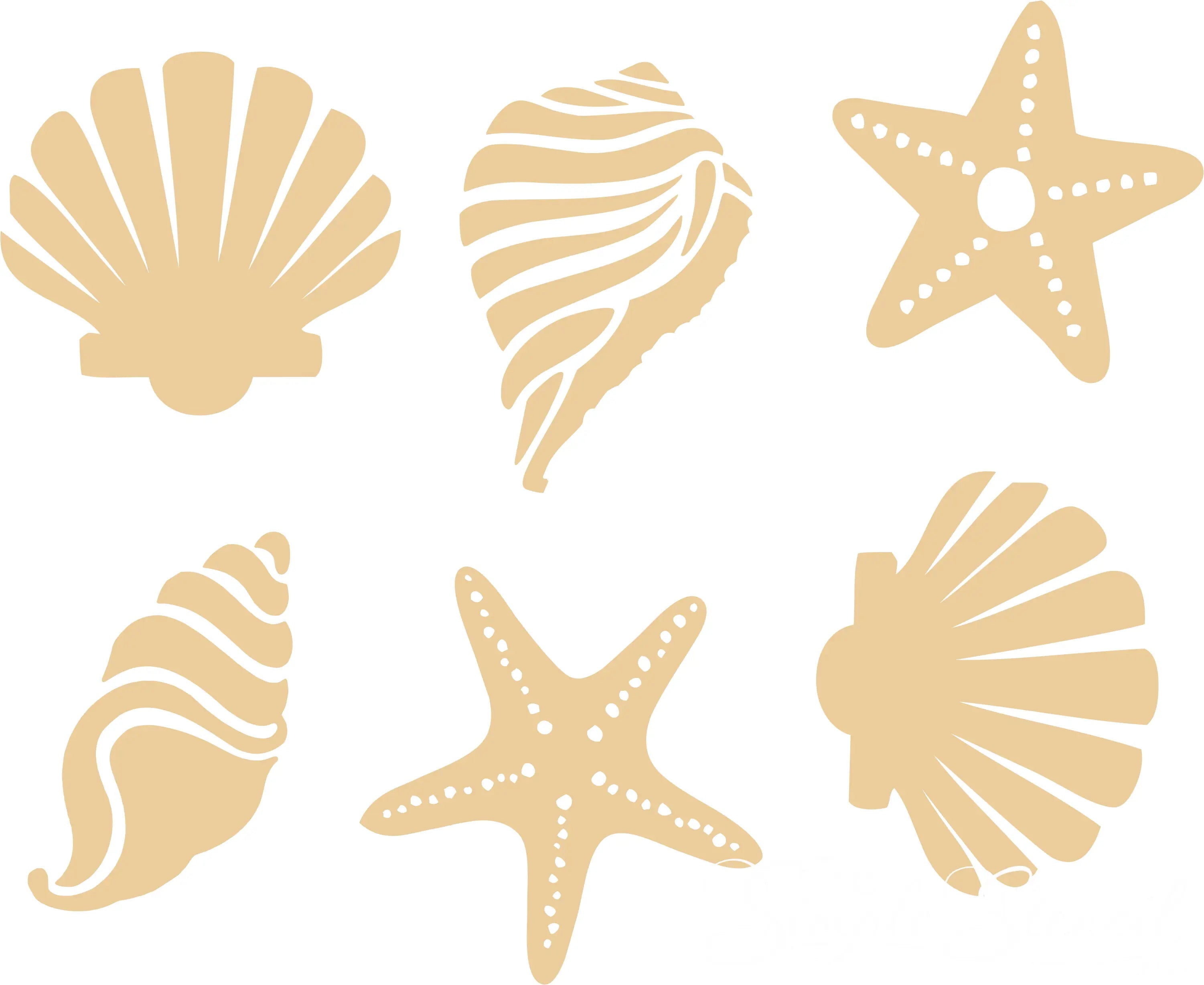 The Simple Stencil Starfish and Shells Wall Decal