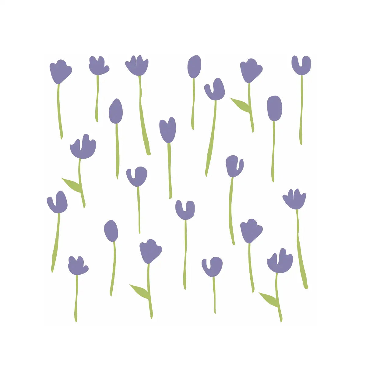 Tulip Pack