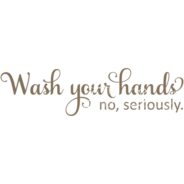 Wash Your Hands. No Seriously. | Wall Mirror Door Or Window Decal Sticker.