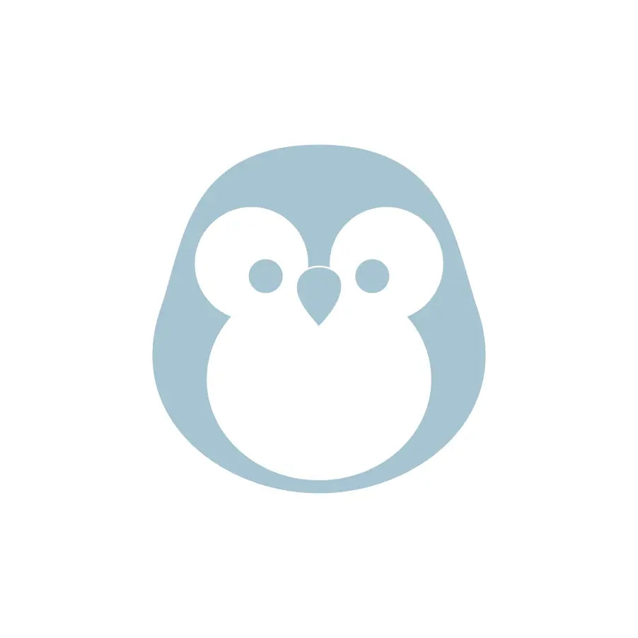 Woodland Owl - Boy